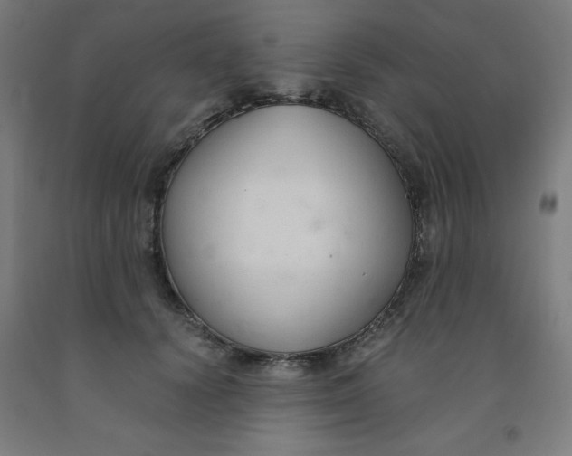 X0000091860656200709261255