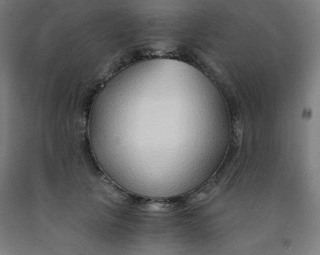 X0000091860657200709261255