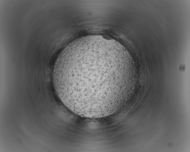 X0000091860658200709261255