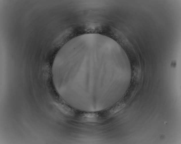 X0000091860659200709261255