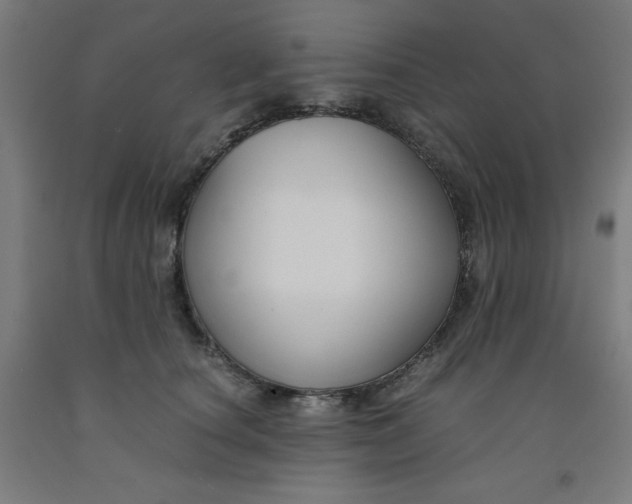 X0000091860660200709261255