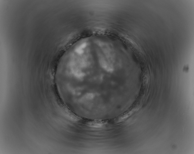 X0000091860661200709261255