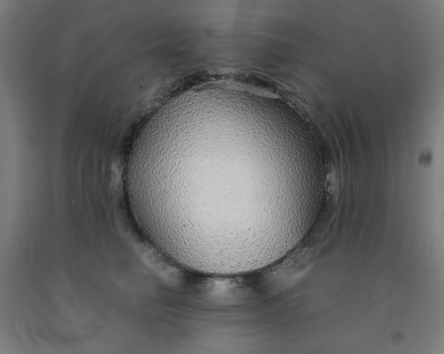 X0000091860662200709261255