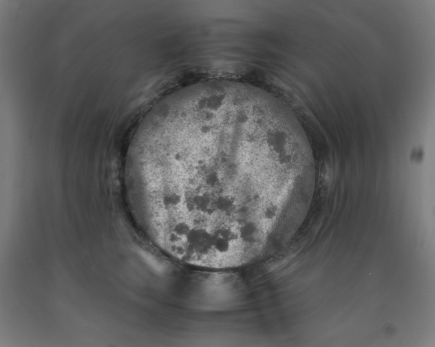 X0000091860663200709261256