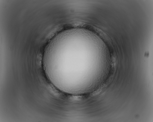 X0000091860664200709261256