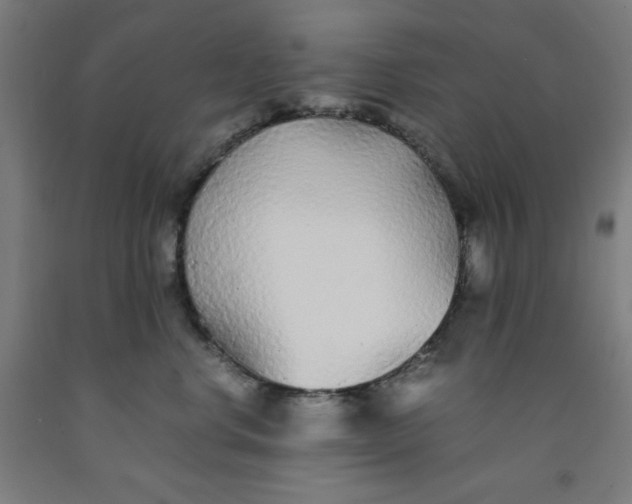 X0000091860668200709261256