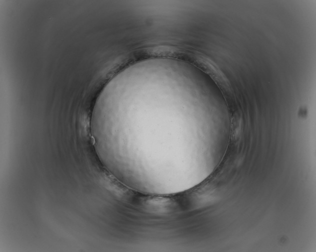 X0000091860669200709261256