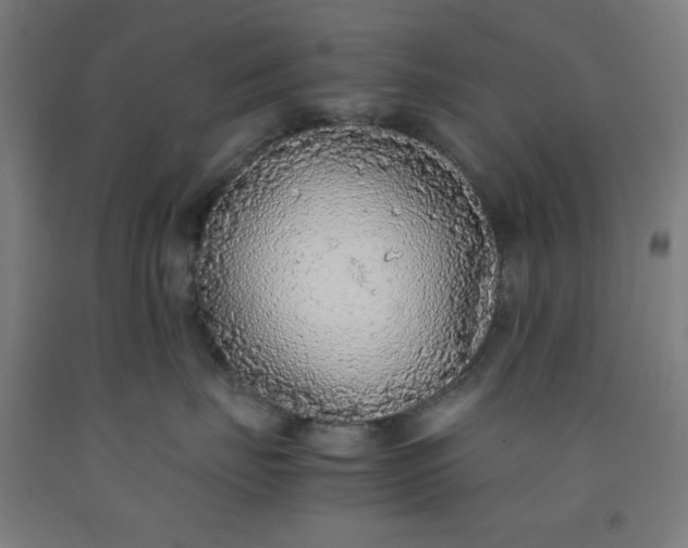 X0000091860671200709261256