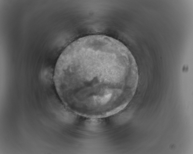 X0000091860672200709261256