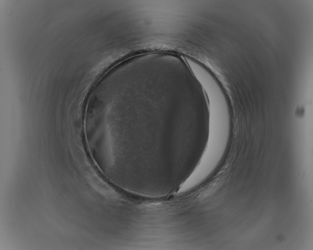 X0000091860673200709261255