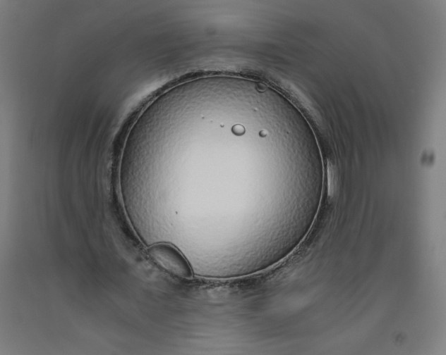 X0000091860675200709261255