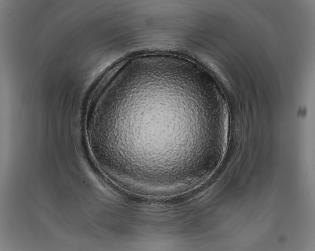 X0000091860677200709261255