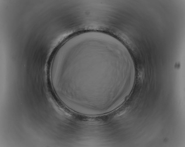 X0000091860678200709261255