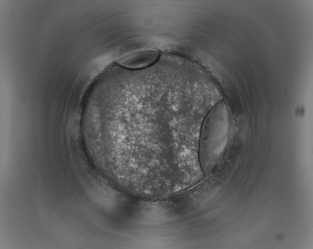 X0000091860679200709261255