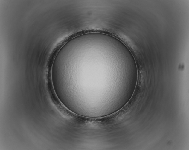 X0000091860680200709261255