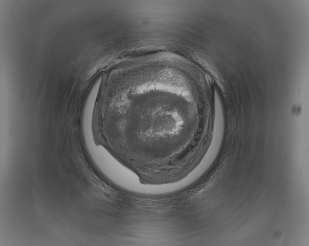 X0000091860681200709261255