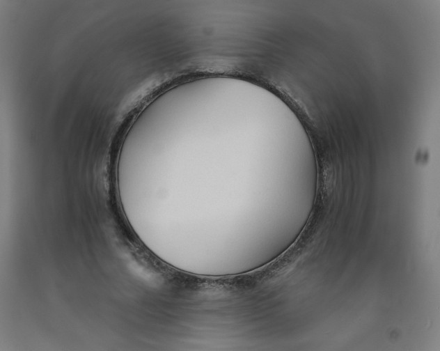 X0000091860682200709261255