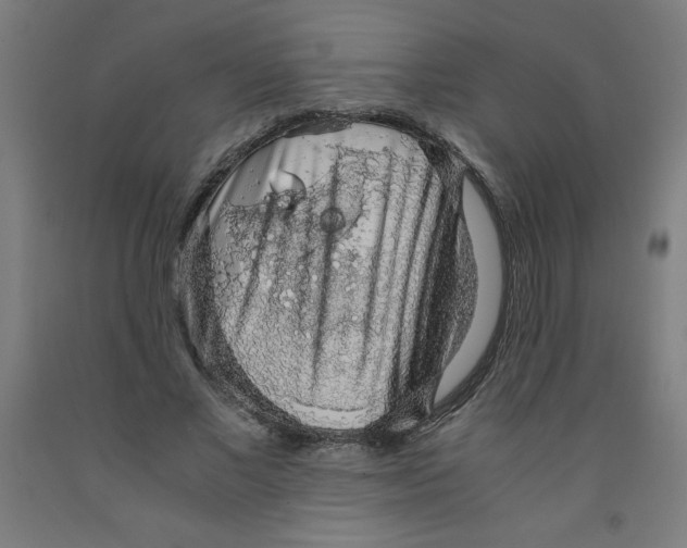 X0000091860685200709261255