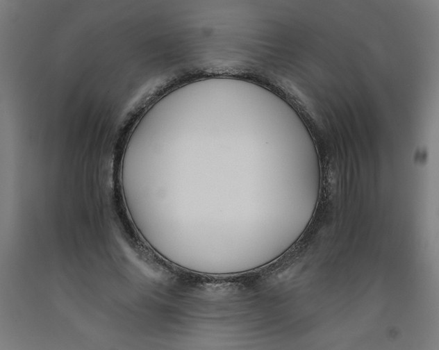 X0000091860686200709261255