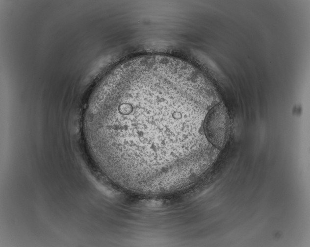 X0000091860687200709261255