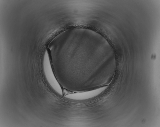 X0000091860689200709261255