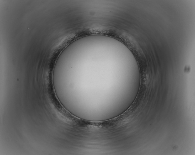 X0000091860690200709261255