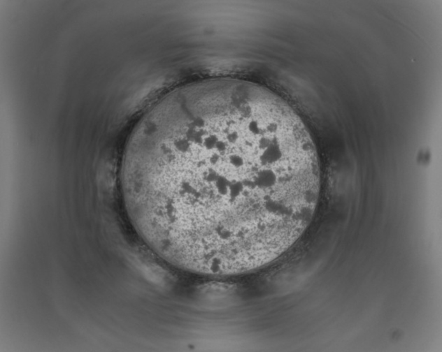 X0000091860691200709261255