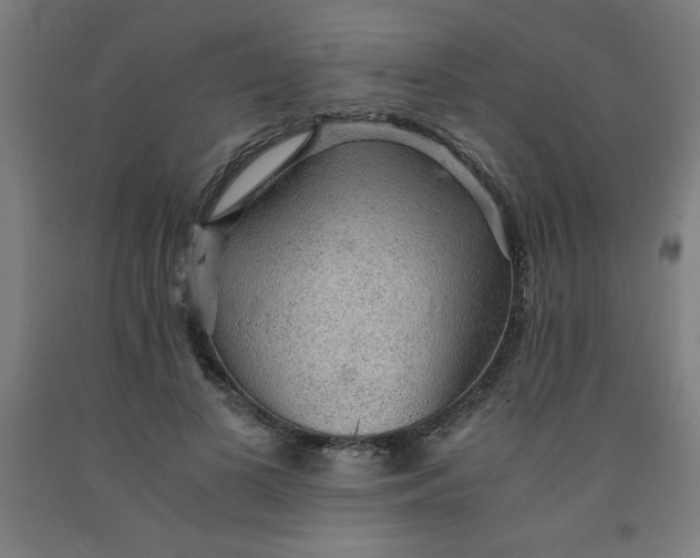 X0000091860693200709261255