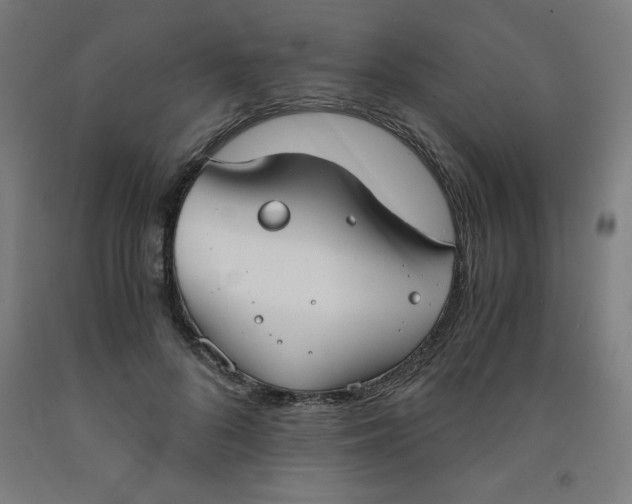 X0000091860696200709261255