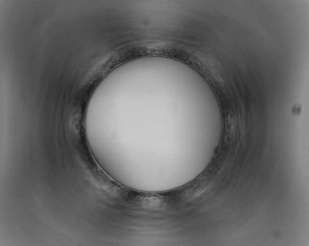 X0000091860698200709261255