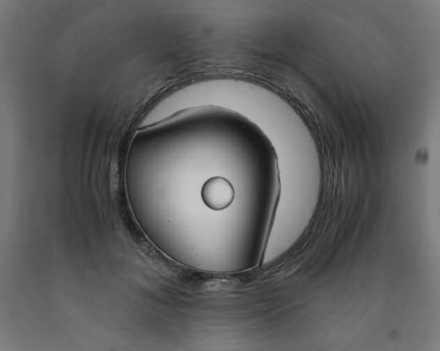 X0000091860700200709261255