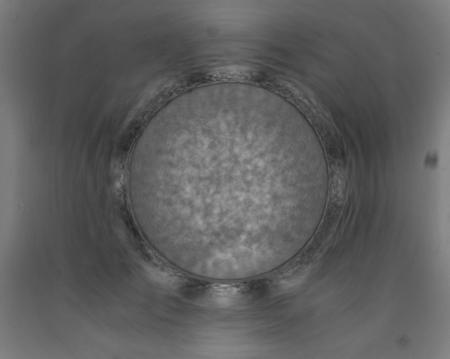 X0000091860701200709261254