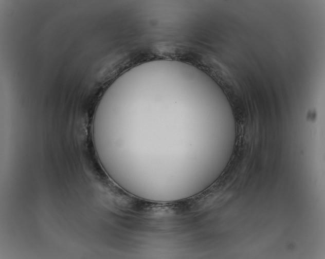 X0000091860702200709261254