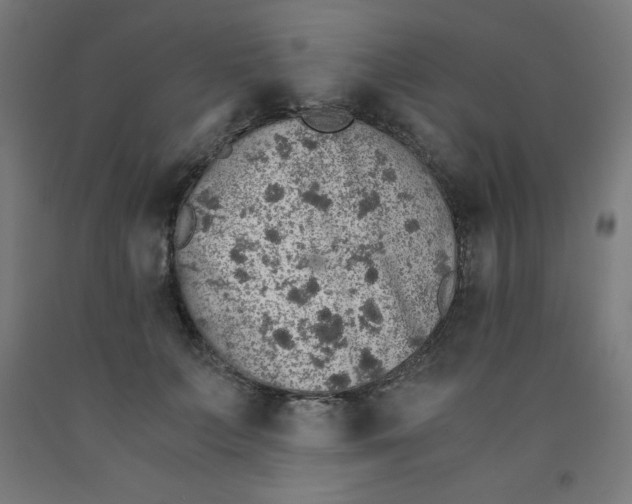 X0000091860703200709261254