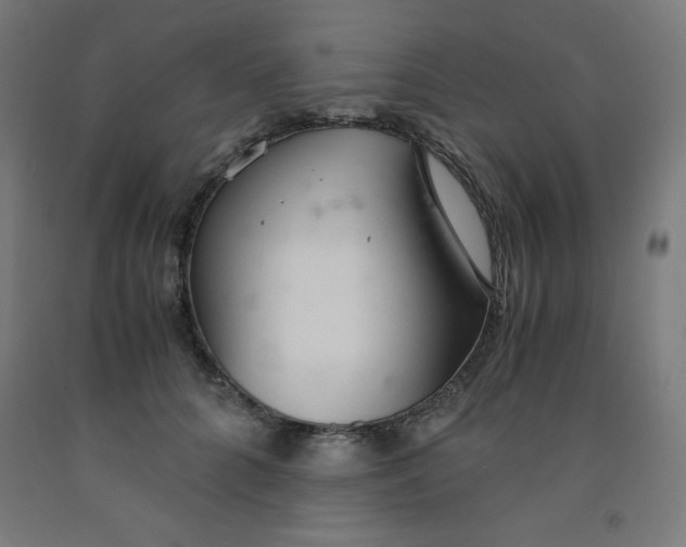 X0000091860704200709261254