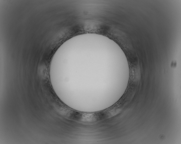 X0000091860705200709261254