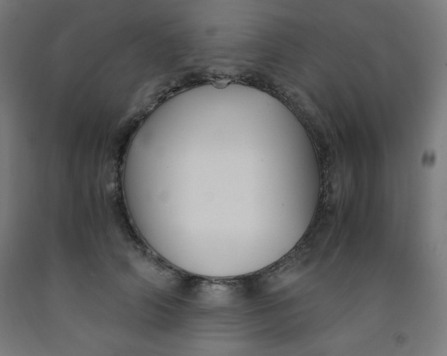 X0000091860706200709261254