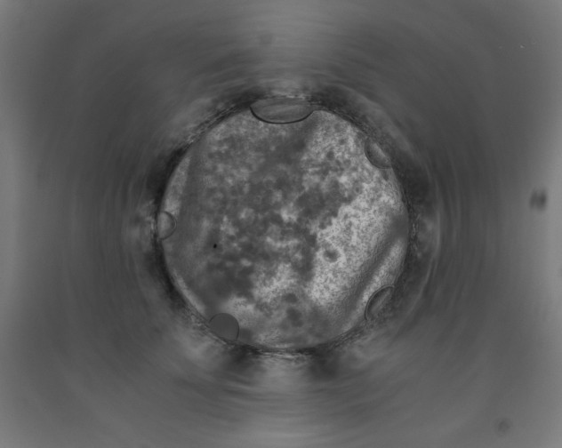 X0000091860707200709261254