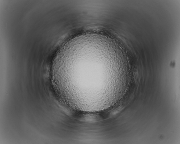 X0000091860708200709261254