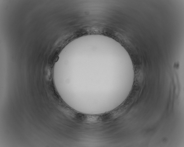 X0000091860709200709261254