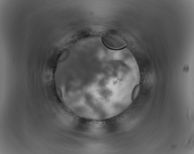 X0000091860711200709261254