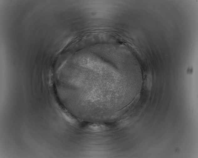 X0000091860712200709261254