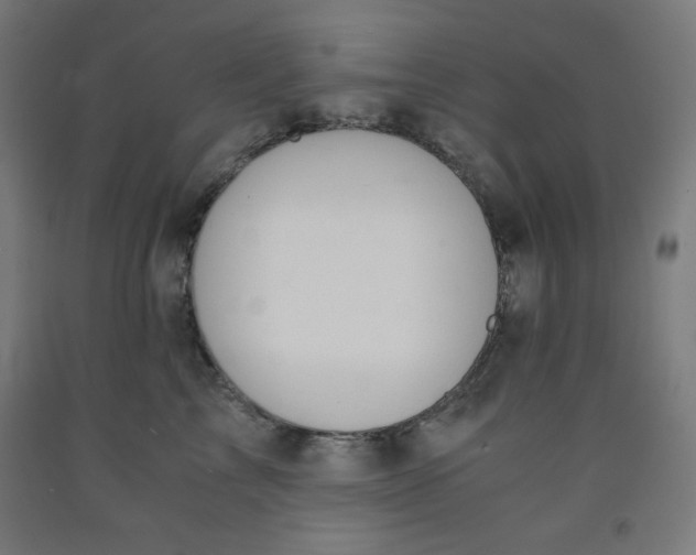 X0000091860713200709261254