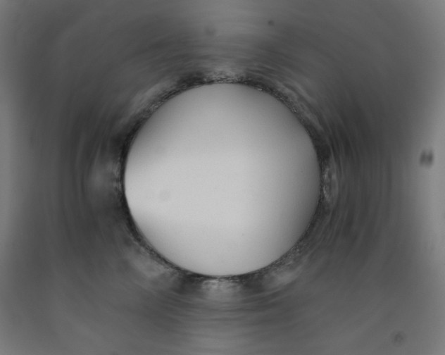 X0000091860714200709261254