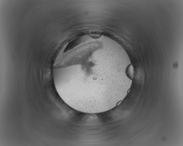 X0000091860715200709261254