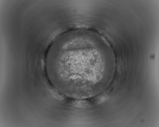 X0000091860716200709261254