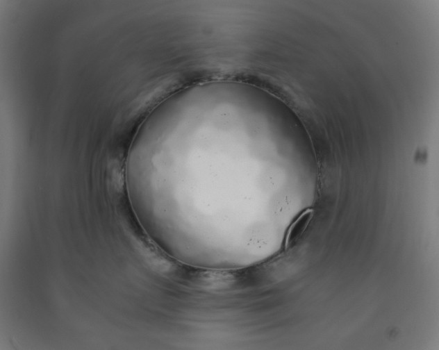 X0000091860719200709261254