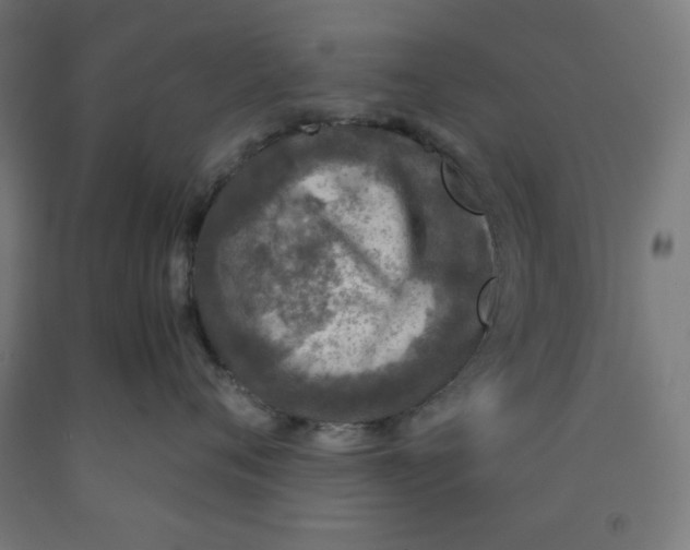 X0000091860720200709261254