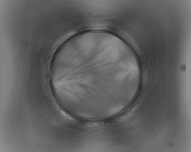 X0000091860721200709261254