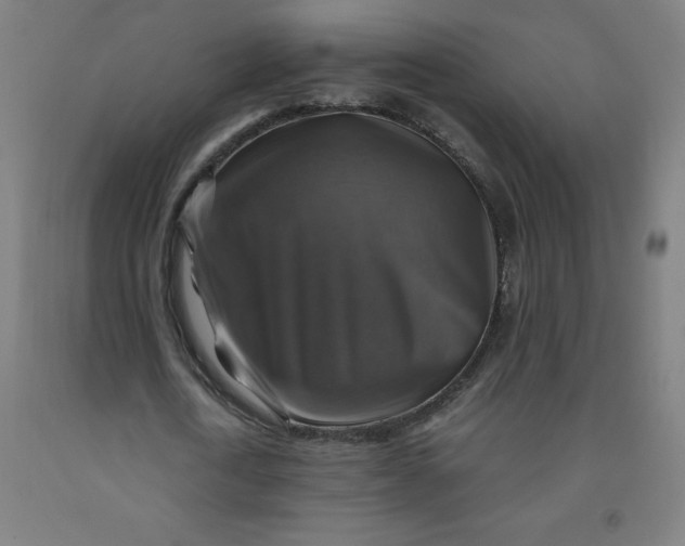 X0000091860722200709261254